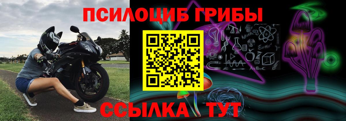 Псилоцибиновые грибы GOLDEN TEACHER Соликамск